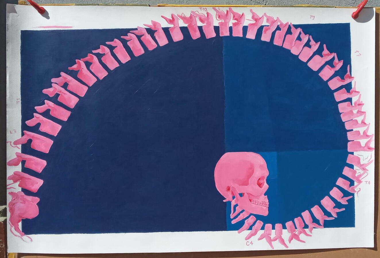 Divina Columna, 2025 [Anatomical Problems]