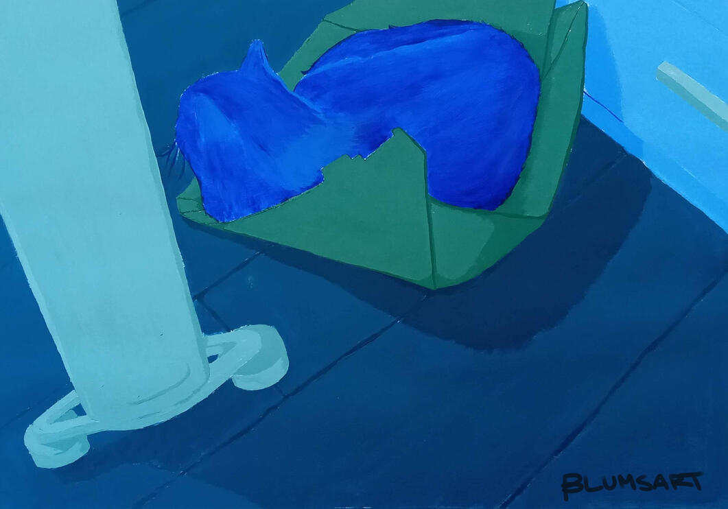 Sombra durmiendo, 2021 [Sombra sleeping]